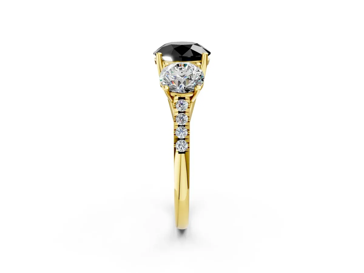 Fancy Black Three-Stone Round Cut Diamond Ring with Round Pavé Band and Prong Setting Yellow gold