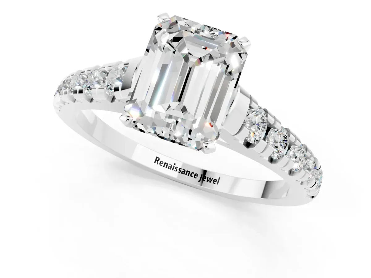 Emerald Cut Moissanite Cathedral Solitaire Ring with Round Pavé Band Platinum