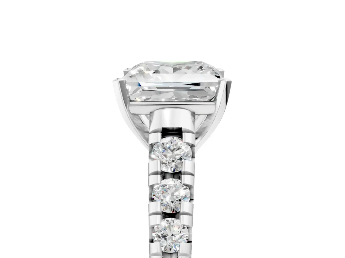 Princess Cut Diamond Cathedral Solitaire Ring with Round Moissanite Pavé Band Platinum