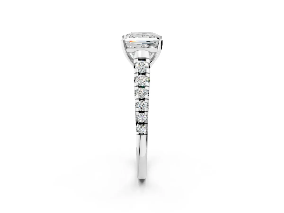 Princess Cut Diamond Cathedral Solitaire Ring with Round Moissanite Pavé Band Platinum