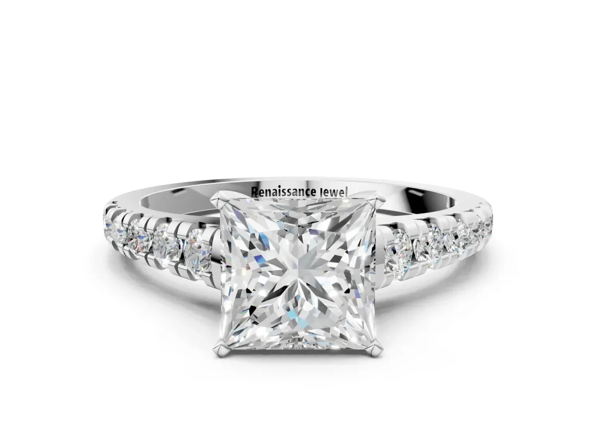 Princess Cut Diamond Cathedral Solitaire Ring with Round Moissanite Pavé Band Platinum