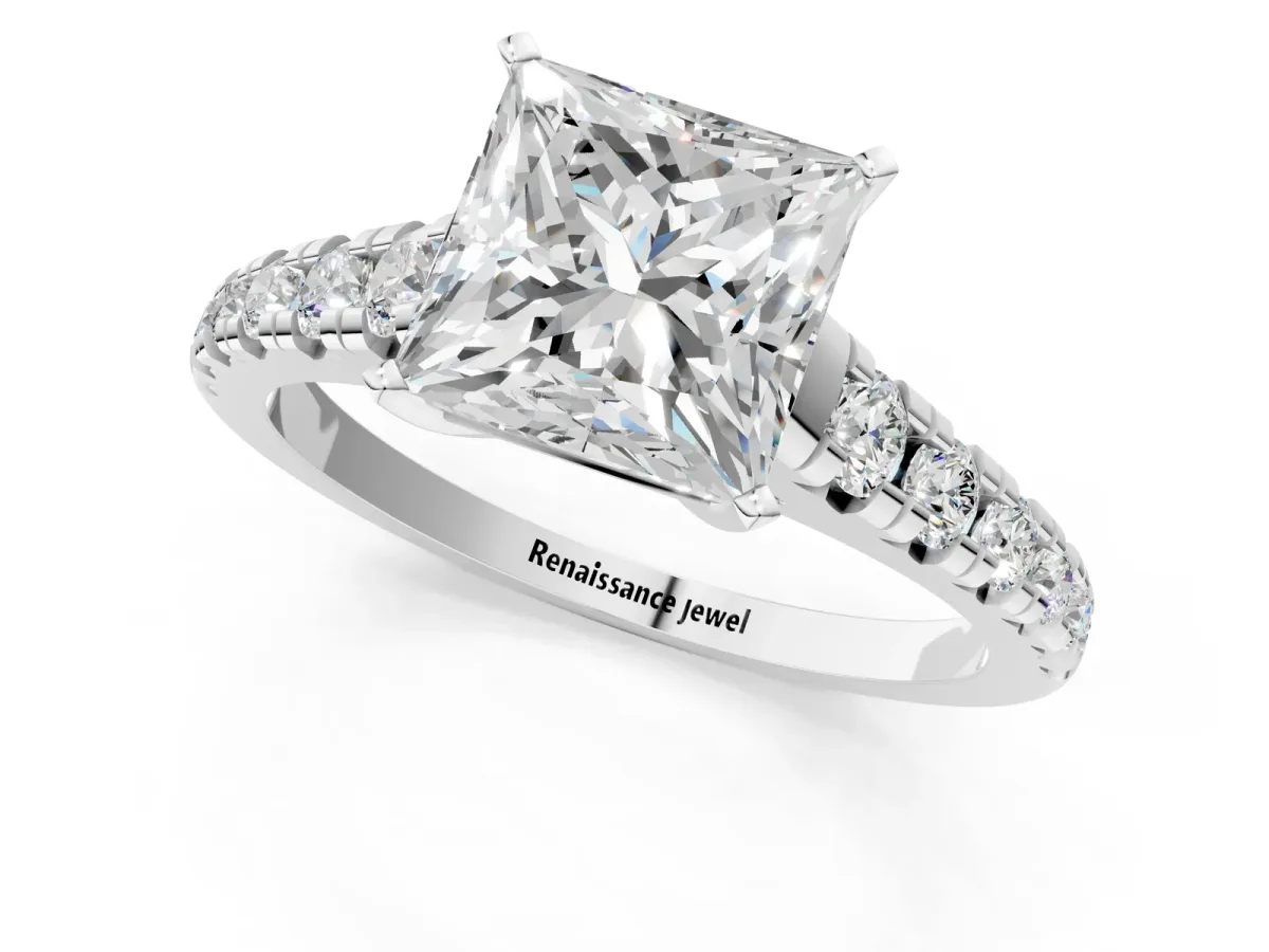 Princess Cut Diamond Cathedral Solitaire Ring with Round Moissanite Pavé Band Platinum
