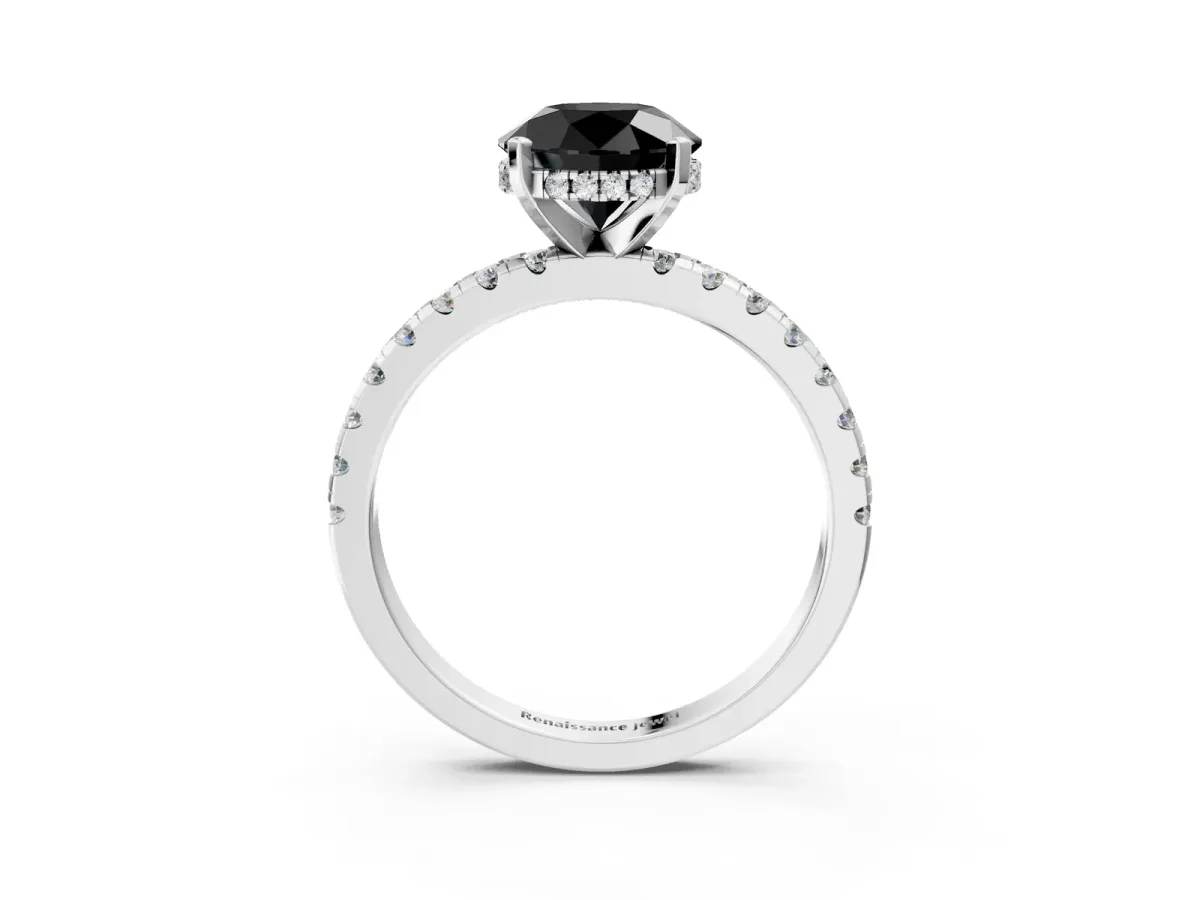 Fancy Black Round Cut Diamond Solitaire Ring with Round Pavé Band and Four-Prong Setting White gold