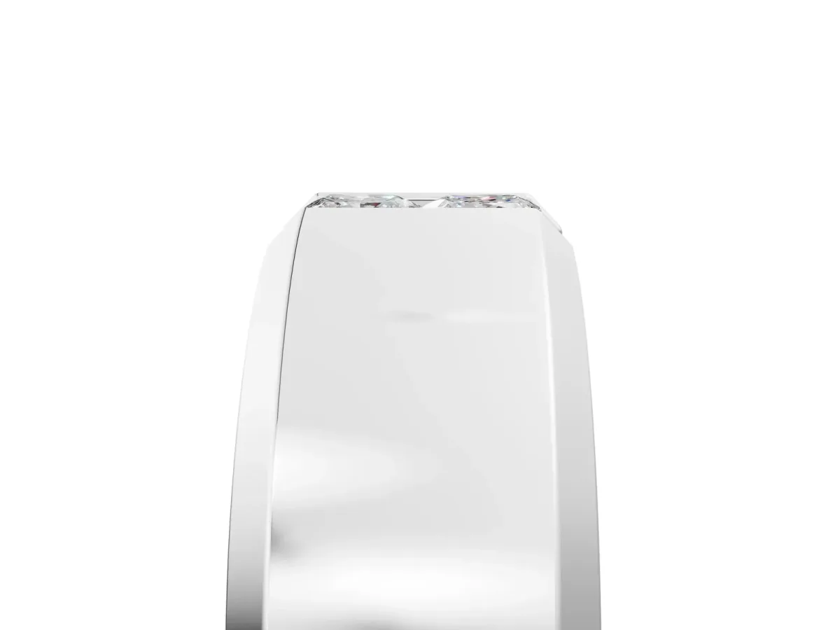 Princess Diamond Two-Stone Mens Band White gold