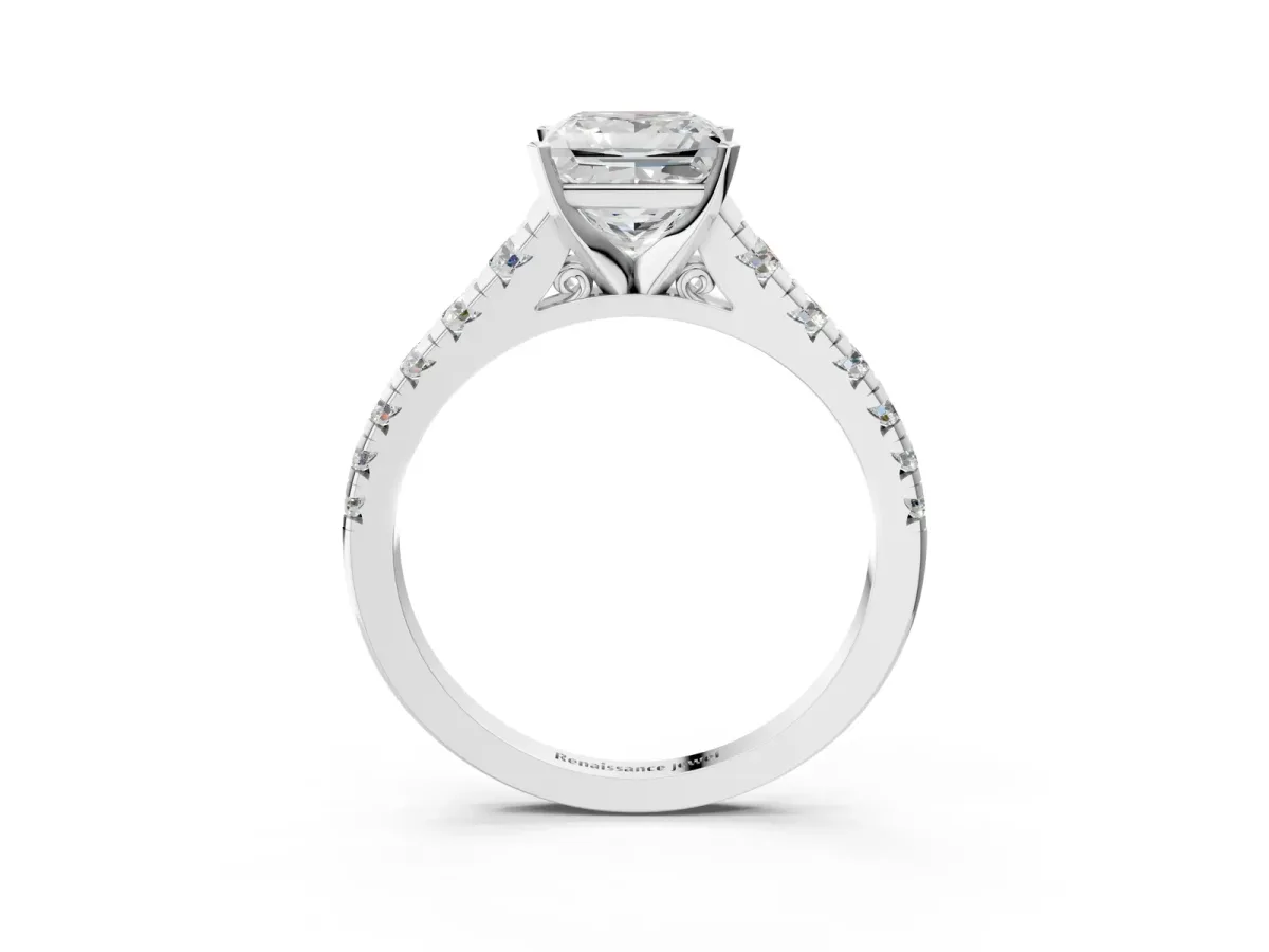 Princess Cut Diamond Cathedral Solitaire Ring with Round Moissanite Pavé Band Platinum