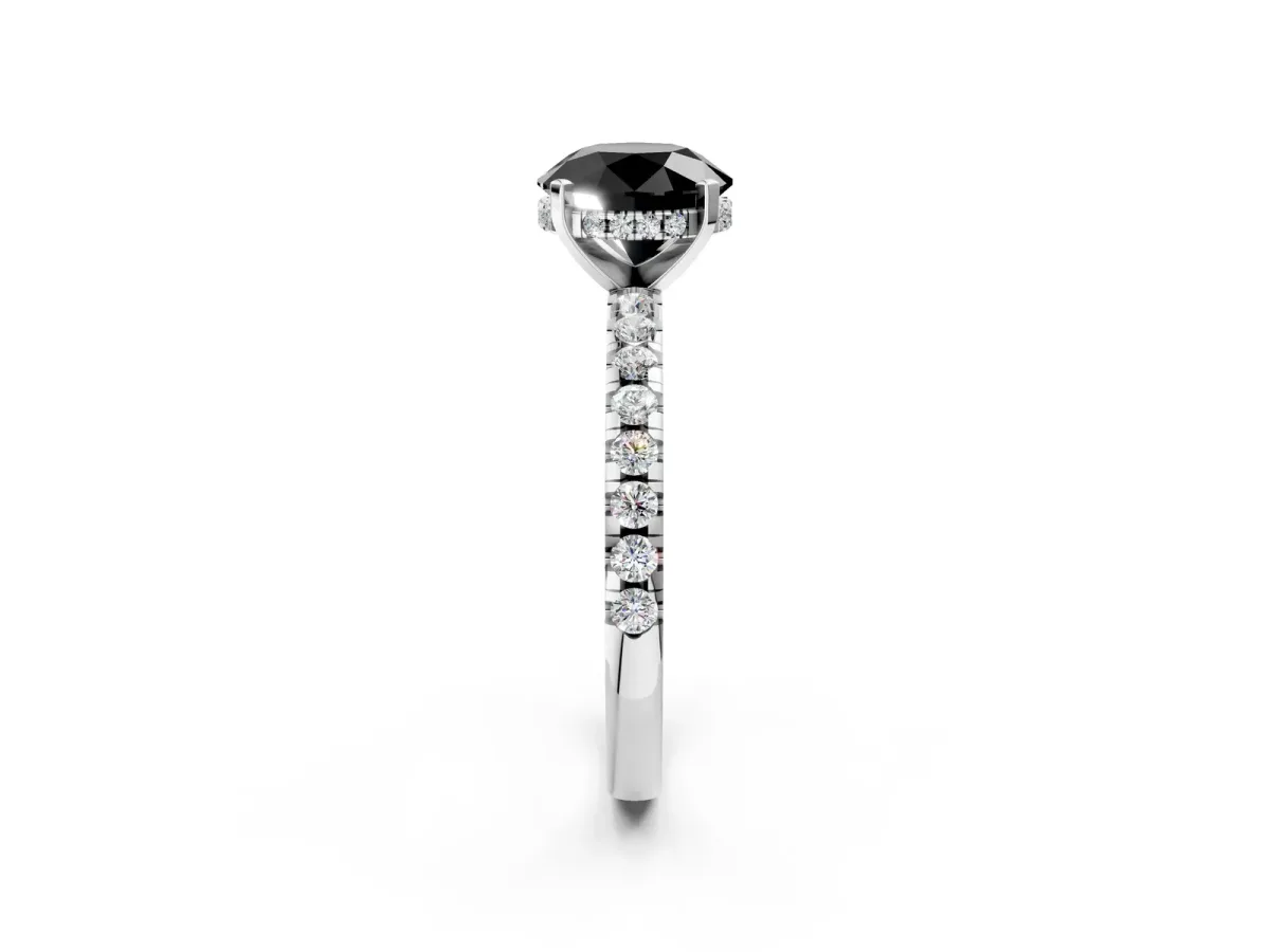 Fancy Black Round Cut Diamond Solitaire Ring with Round Pavé Band and Four-Prong Setting White gold