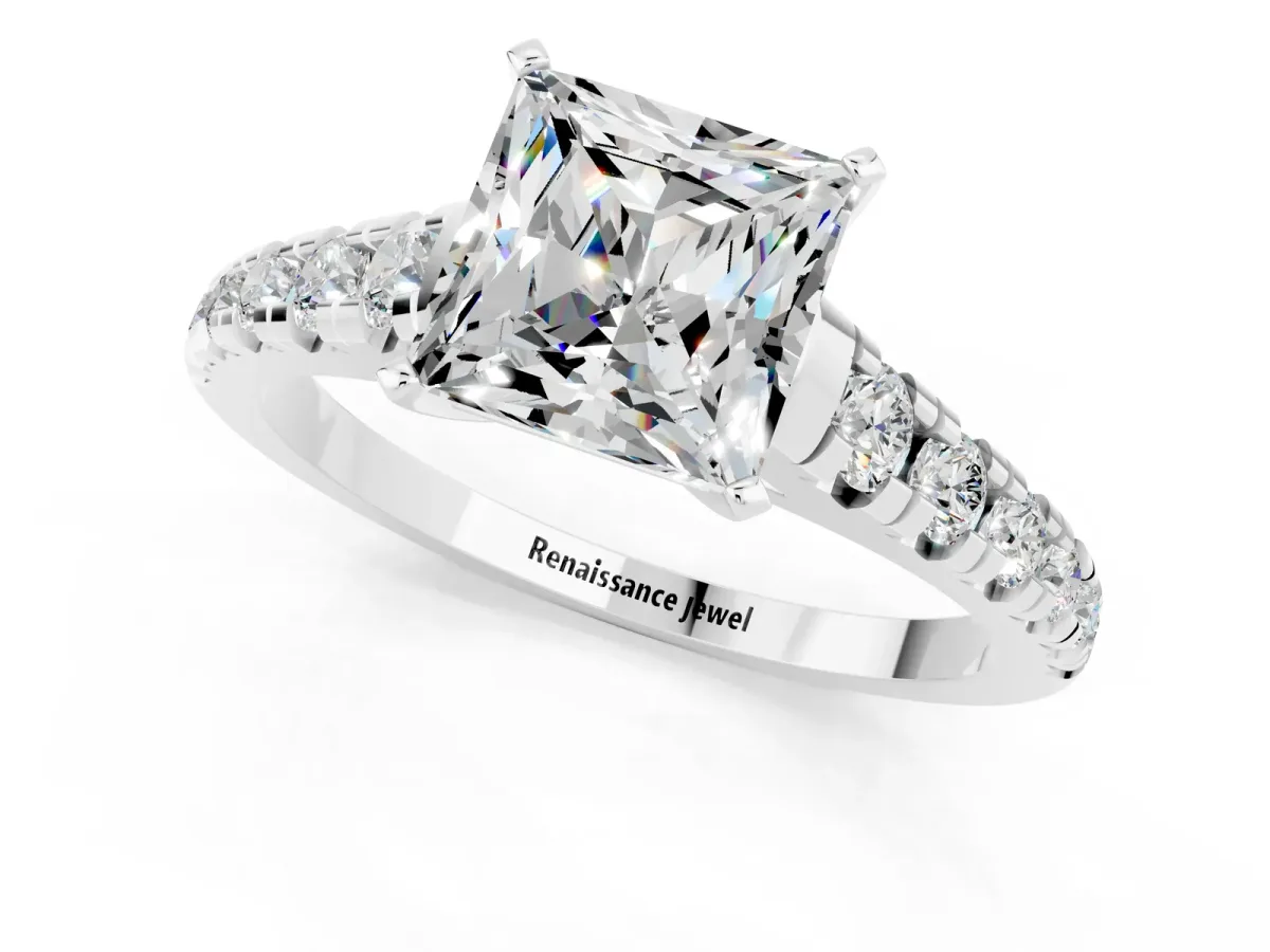 Princess Cut Moissanite Cathedral Solitaire Ring with Round Pavé Band Silver