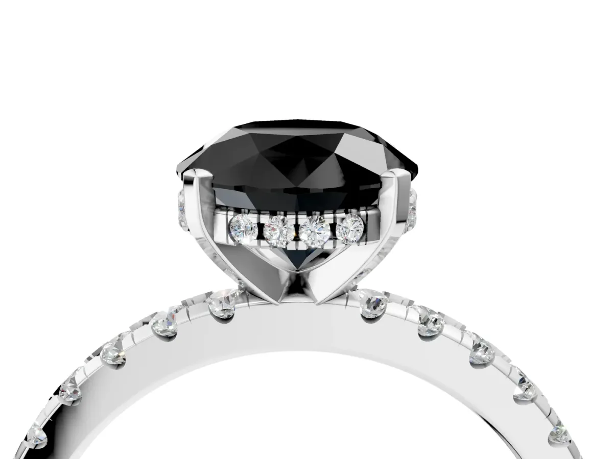 Fancy Black Round Cut Diamond Solitaire Ring with Round Pavé Band and Four-Prong Setting White gold