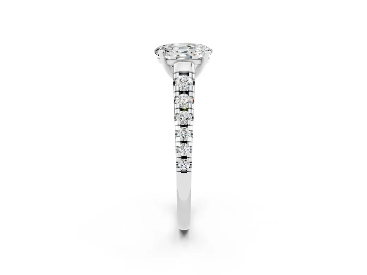 Oval Cut Moissanite Cathedral Solitaire Ring with Round Pavé Band Platinum