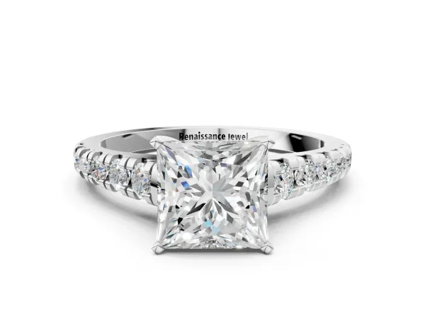 Princess Cut Diamond Cathedral Solitaire Ring with Round Moissanite Pavé Band Platinum