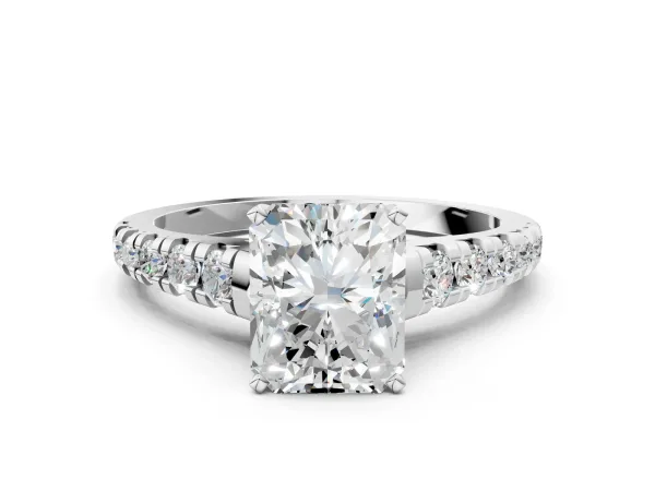 Radiant Cut Diamond Cathedral Solitaire Ring with Round Moissanite Pavé Band Platinum